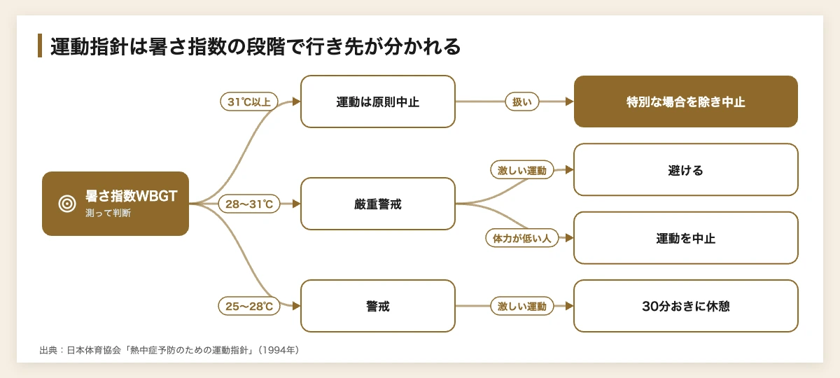 熱中症対策の義務化|企業が学ぶスポーツ式WBGT中止基準 11 熱中症対策の暑さ指数WBGT別|運動指針の段階ごとの扱い(31℃以上は原則中止)