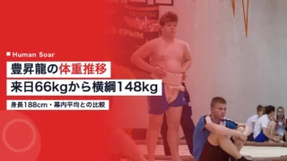 hoshoryu weight