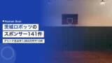 ibaraki robots sponsor