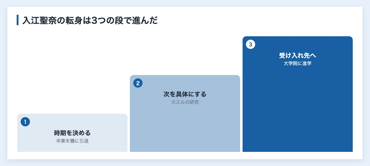 入江聖奈のボクシング歴と引退・現在|人事が学ぶ転身の決め方 12 入江聖奈のボクシング引退後の転身を3つの段で示す図