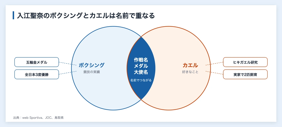 入江聖奈のボクシング歴と引退・現在|人事が学ぶ転身の決め方 11 入江聖奈のボクシングとカエルの重なり(作戦名・メダル・大使名)を示す図