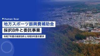 local sports promotion subsidy 2