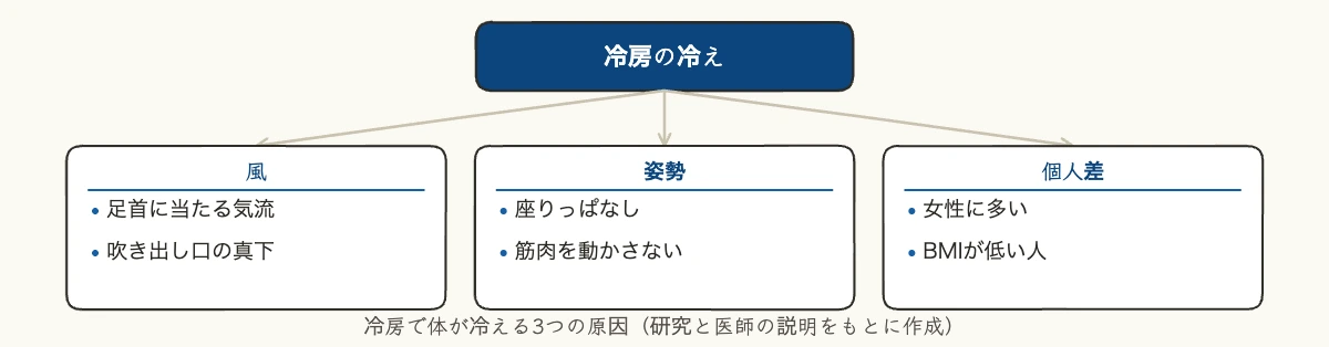 冷房の冷え対策|企業が守る温度基準とスポーツ習慣 10 冷房で体が冷える原因を風・姿勢・個人差の3つに整理した図