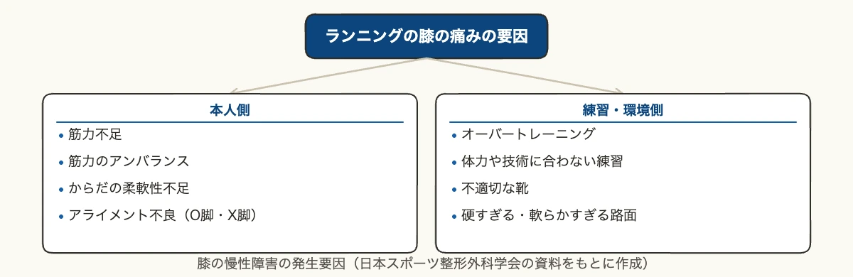 ランニングの膝の痛み|場所別の原因と治し方・企業の予防策 10 ランニングの膝の痛みの原因を本人側と練習・環境側に分けた図