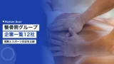 seikotsuin group companies japan 2026