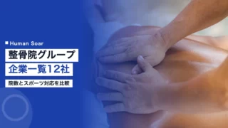 seikotsuin group companies japan 2026