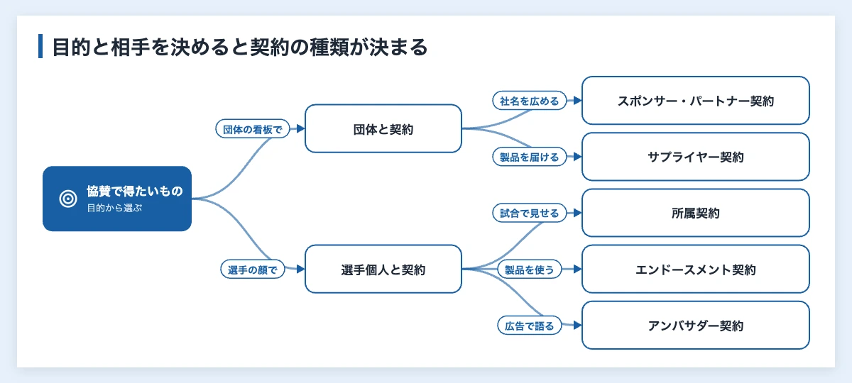 スポンサー契約の違い|スポーツの6種類を所属・パートナーまで比較 11 協賛で得たいものから、団体と結ぶスポンサー・パートナー契約とサプライヤー契約、選手個人と結ぶ所属契約・エンドースメント契約・アンバサダー契約を選ぶ流れの図