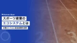 sports ecosystem