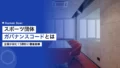スポーツ団体ガバナンスコードとは|企業が読む13原則と審査結果 23 sports governance code