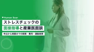 stress check interview