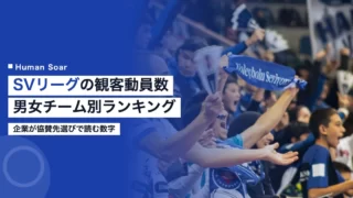 sv league attendance