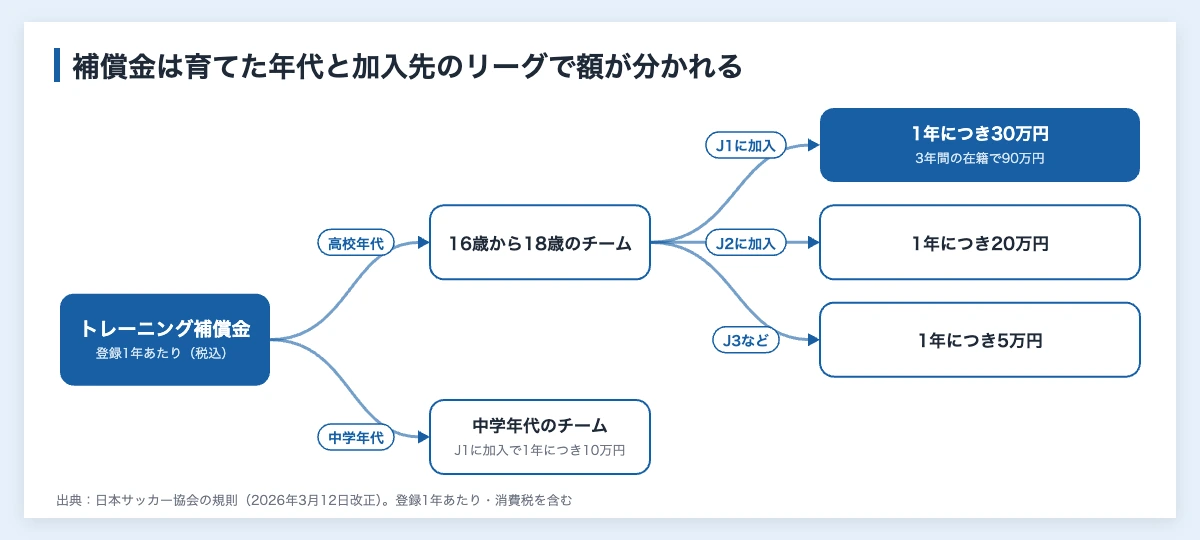 移籍金とは|誰がもらうのかとサッカーの分配の仕組み 11 移籍金とは別に育てたチームへ払われるトレーニング補償金の分岐図。高校年代のチームはJ1加入で1年につき30万円、J2で20万円、J3などで5万円、中学年代のチームはJ1加入で10万円に分かれる