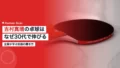 yoshimura 20year challenge 2026